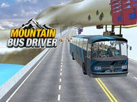 Mountain Bus Driver