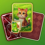 Puzzle Solitaire Picture Match